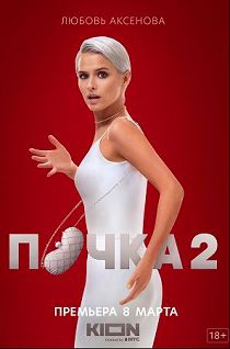 Почка 2